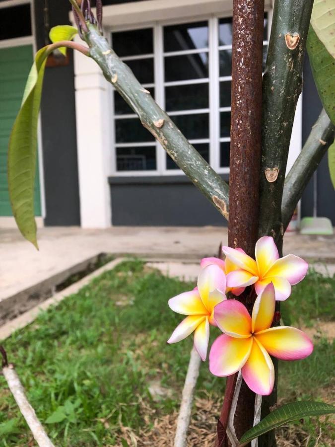 Lungo Guesthouse Kuala Terengganu Exteriér fotografie